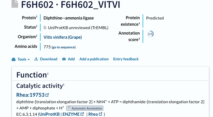 UniProt F6H602: Diphthine-ammonia ligase, TrEMBL unreviewed, protein existence Predicted, annotation score 2/5, Automatic Annotation